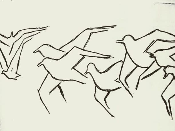 Cleobulina por Marcello Ricardo Almeida