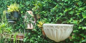 Postagem em destaque