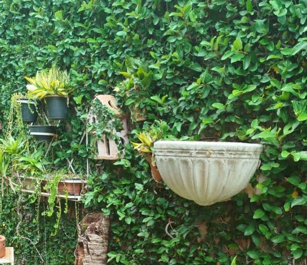 Manhã, por Goretti Brandão