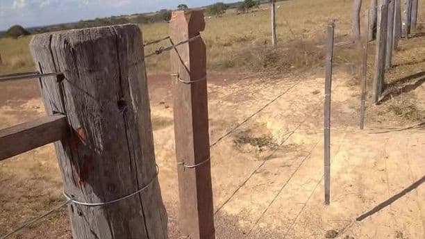 Você conhecia? Por Clerisvaldo Braga das Chagas